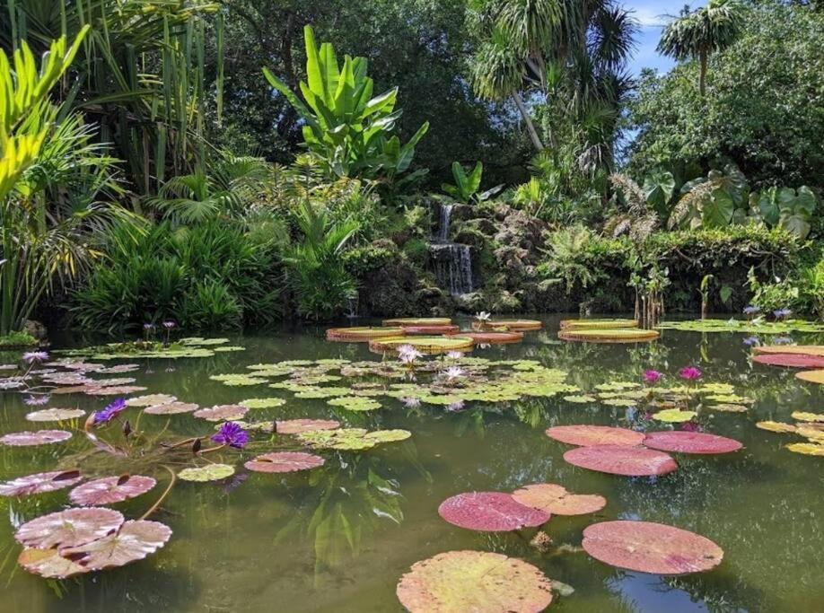 Insta Worthy Oasis Vila Homestead Exterior foto